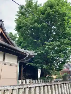 日枝神社(千葉県)