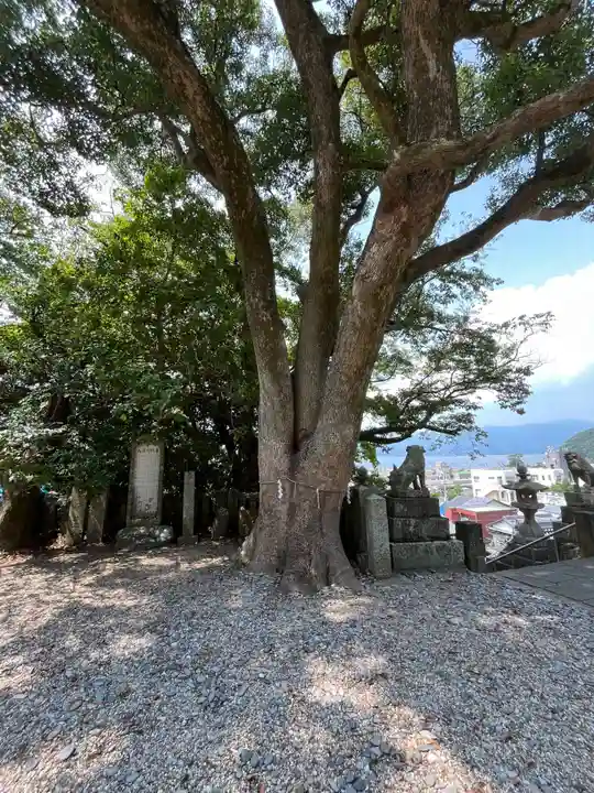 沼島八幡神社(兵庫県)