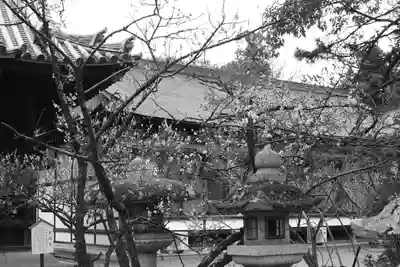 長浜八幡宮の自然