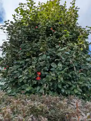 正行寺(岐阜県)