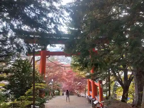 新倉富士浅間神社の鳥居