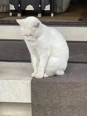 今戸神社(東京都)