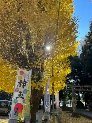 雀神社(茨城県)
