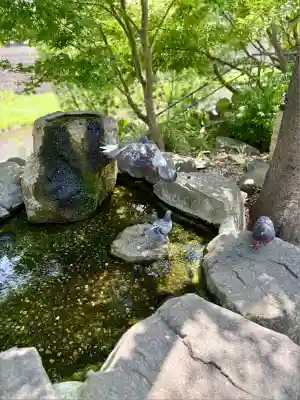 四柱神社(長野県)