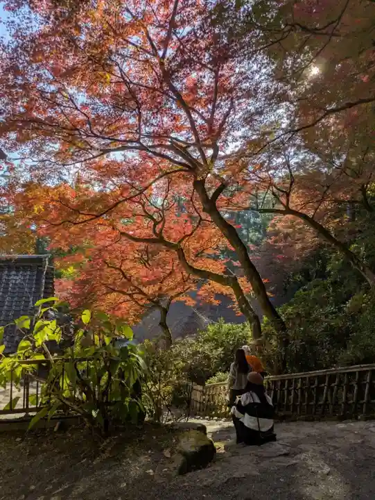 大興善寺の庭園