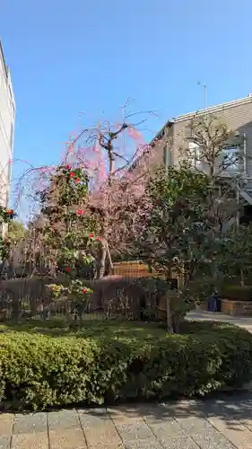 天照神社(京都府)