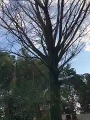 烏帽子嶽神社の自然