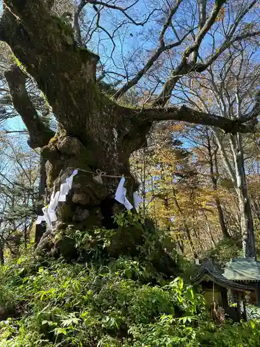 熊野皇大神社(長野県)