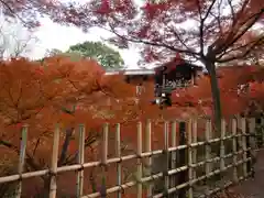 東福禅寺（東福寺）(京都府)