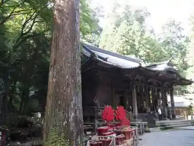 最乗寺（道了尊）の本殿・本堂