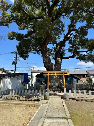 渋川神社(大阪府)