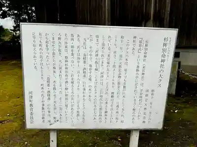 川津来宮神社(静岡県)
