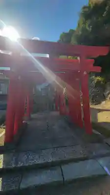 姫坂神社(愛媛県)