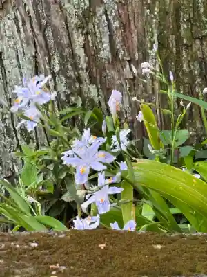 岩戸別神社(栃木県)