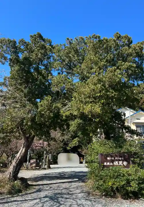 かっぱの寺 栖足寺(静岡県)