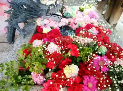 札幌諏訪神社の手水舎