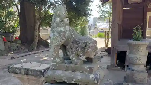 松尾神社の狛犬