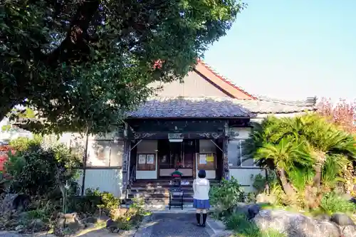 道智山 遍照院の本殿・本堂