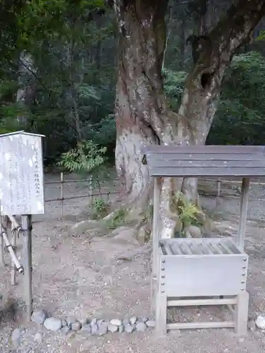 小國神社の庭園