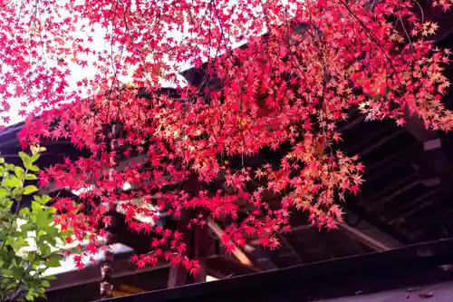 八大神社(京都府)