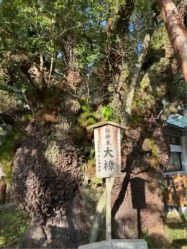 富知六所浅間神社(静岡県)