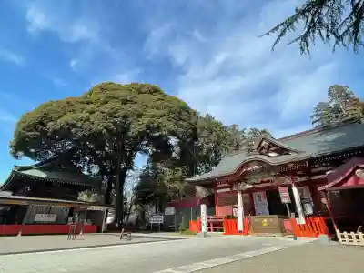大前恵比寿神社の{uncategorized: "未分類", other: "その他", undefined: "問題あり", building: "その他建物", grave: "お墓", sacred_gate: "鳥居", guardian: "狛犬", statue: "像", buddha: "仏像", history: "歴史", nature: "自然", garden: "庭園", animal: "動物", pagoda: "塔", temizu: "手水舎", mountain_gate: "山門・神門", sanctuary: "本殿・本堂", subordinate: "末社・摂社", art: "芸術", scenery: "景色", jizo: "地蔵", ema: "絵馬", goshuin: "御朱印", omikuji: "おみくじ", items: "授与品その他", amulet: "お守り", goshuincho: "御朱印帳", eats: "食事", festival: "お祭り", votive_dance: "神楽", shichigosan: "七五三参", wedding: "結婚式", experience: "体験その他", initially: "初詣", around: "周辺", anti_infection: "感染症対策"}