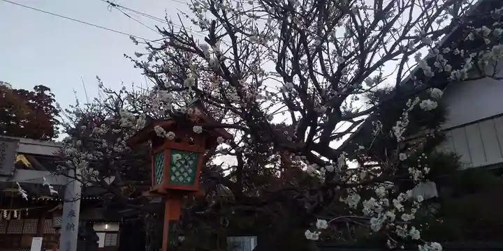 女化神社(茨城県)
