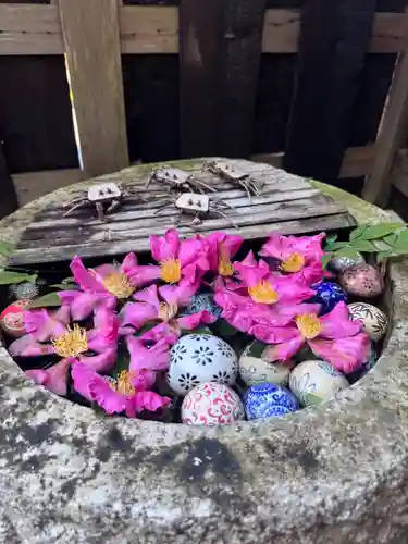 正寿院(京都府)