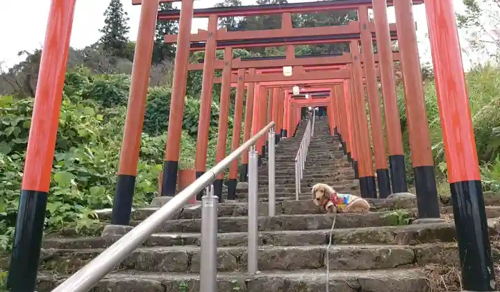 浮羽稲荷神社の{uncategorized: "未分類", other: "その他", undefined: "問題あり", building: "その他建物", grave: "お墓", sacred_gate: "鳥居", guardian: "狛犬", statue: "像", buddha: "仏像", history: "歴史", nature: "自然", garden: "庭園", animal: "動物", pagoda: "塔", temizu: "手水舎", mountain_gate: "山門・神門", sanctuary: "本殿・本堂", subordinate: "末社・摂社", art: "芸術", scenery: "景色", jizo: "地蔵", ema: "絵馬", goshuin: "御朱印", omikuji: "おみくじ", items: "授与品その他", amulet: "お守り", goshuincho: "御朱印帳", eats: "食事", festival: "お祭り", votive_dance: "神楽", shichigosan: "七五三参", wedding: "結婚式", experience: "体験その他", initially: "初詣", around: "周辺", anti_infection: "感染症対策"}