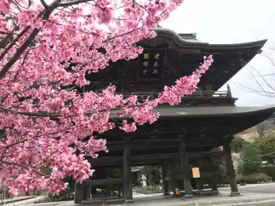 建長寺の山門・神門