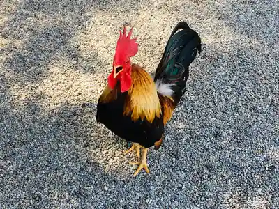 石上神宮(奈良県)