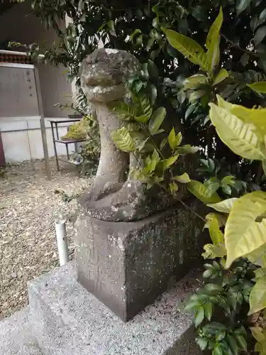 柴崎神社の狛犬