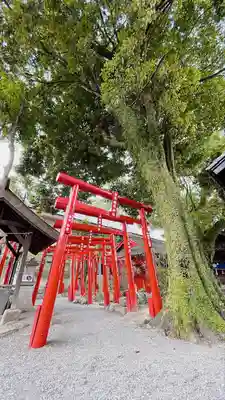 青井阿蘇神社(熊本県)