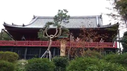 清水観音堂のその他建物