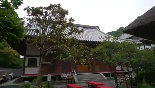 佛日庵の本殿・本堂