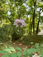 十二山神社(群馬県)