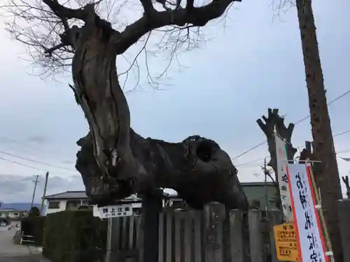 小内神社の自然