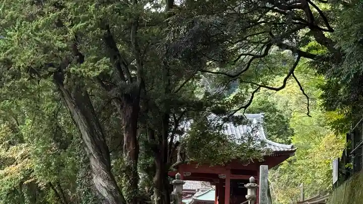 那古寺(千葉県)
