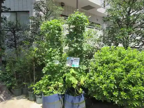 高輪神社(東京都)