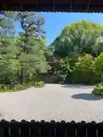 廬山寺(廬山天台講寺)(京都府)