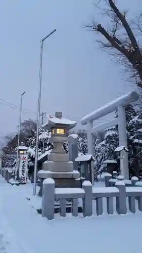 新琴似神社の七五三参