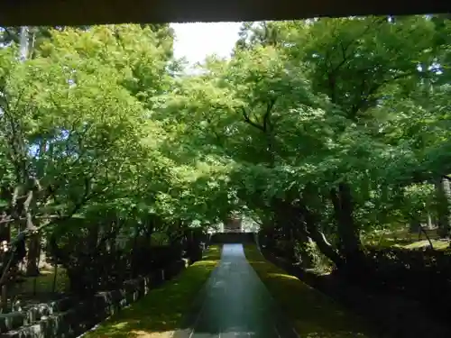 天嶽院の景色