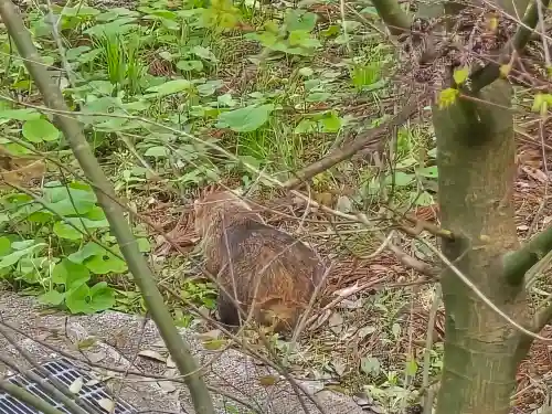 長谷寺(奈良県)