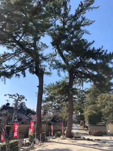 西大寺四王堂(奈良県)