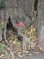 飯香岡八幡宮(千葉県)