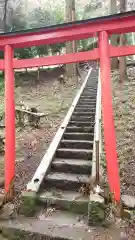 矢背負稲荷神社の鳥居