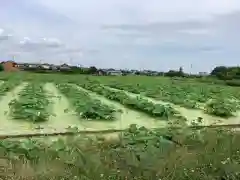 太聖寺の周辺