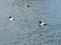 三和神社(香川県)