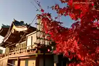 寛永寺不忍池弁天堂(東京都)