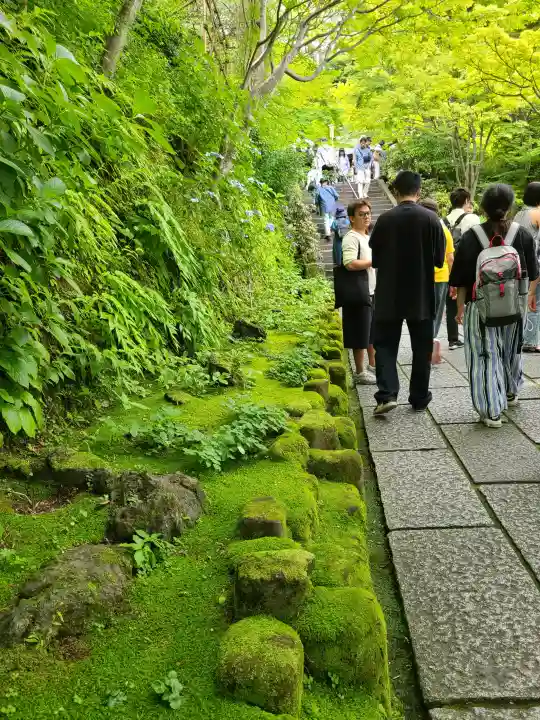 長谷寺(神奈川県)